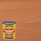 Cabot Cabot Semi-Transparent Low VOC Semi-Transparent Redwood Oil-Based Stain and Sealer 1 gal 140.0016380.007 - alternate 1
